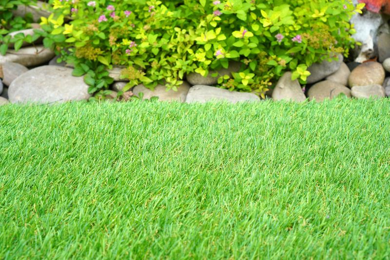 garden with artificial lawn