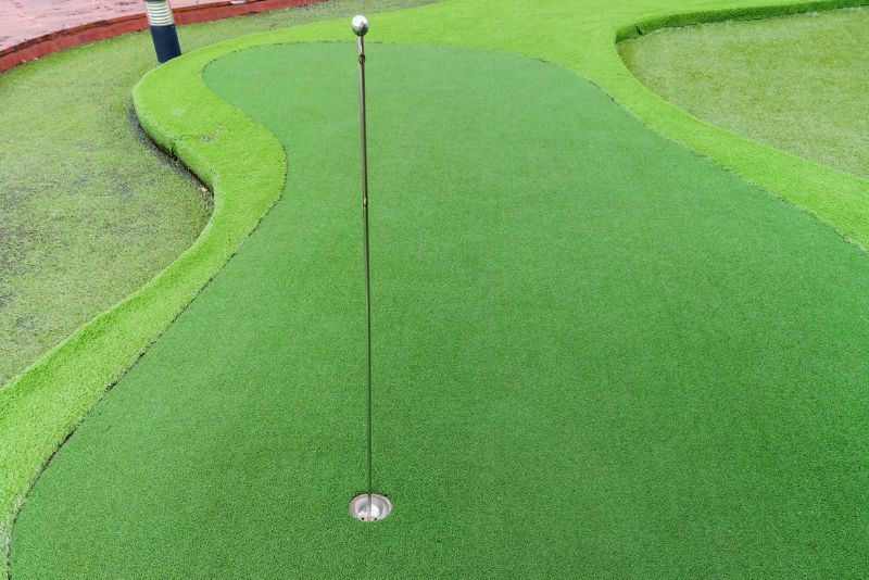 putting green with the cup