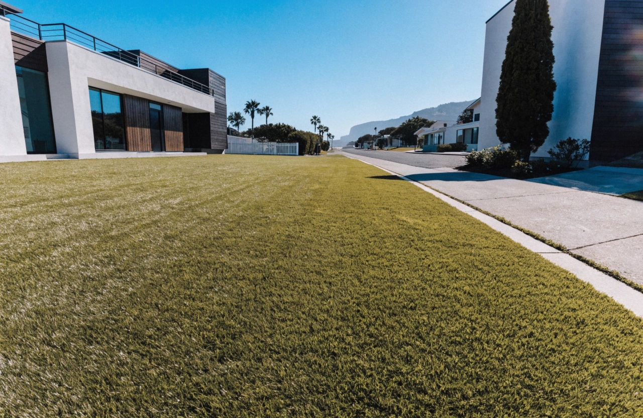 Synthetic grass front yard installation on a Long Jetty residential property with modern home facade