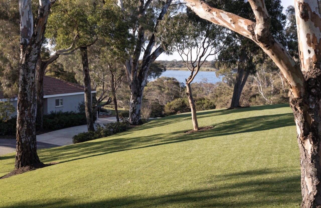 Artificial grass front lawn in a lakeside suburb on the Central Coast NSW