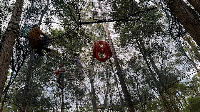 Treetops Adventure Central Coast