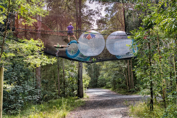 Treetops Adventure Central Coast