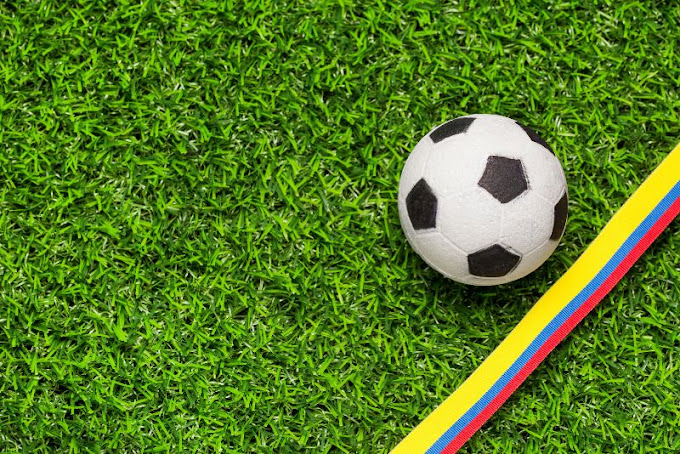 Synthetic Grass Central Coast Experts